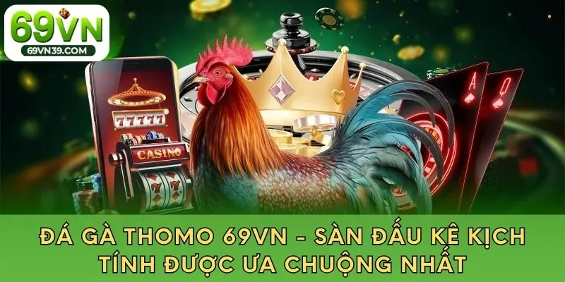 Đá Gà Thomo 69VN - Sàn Đấu Kê Kịch Tính Được Ưa Chuộng Nhất