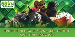 Trực Tiếp Đá Gà C1 69VN - Đấu Trường Kịch Tính Hàng đầu