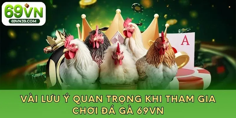 Vài lưu ý quan trọng khi tham gia chơi đá gà 69VN